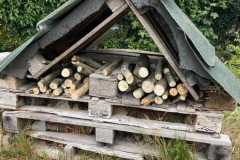 Bug Hotel