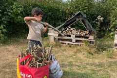 Bug Hotel