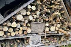 Bug Hotel