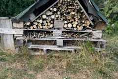 Bug Hotel