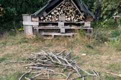Bug Hotel