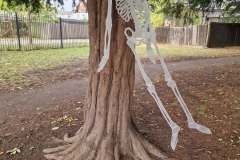 570674466_18198116392319984_6307174021807743807_n