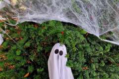 572087501_18198116371319984_7019557073660987669_n