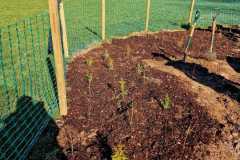 IMG-20250903-WA0012