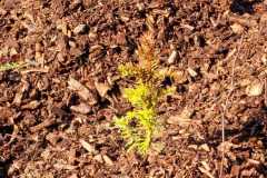 IMG-20250903-WA0029