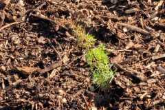 IMG-20250903-WA0031