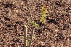 IMG-20250903-WA0033