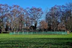 IMG-20250903-WA0037